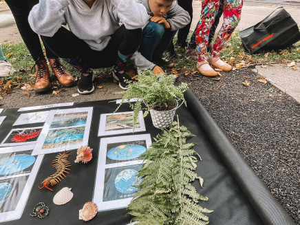 05b7d5b3-a9ca-43a6-a3f6-7c4e2e5925d4