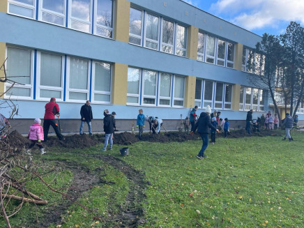 dffd54f9-9944-4495-b6cb-0613ebf431fb