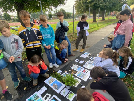 3a28b1f5-049a-4094-b9e4-e2fdf9e2b2ee