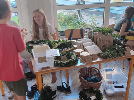 382973747_331159356112787_4918668979375153316_n