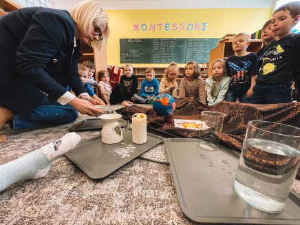 5565a6f4-657a-489a-932f-e610e4d36755