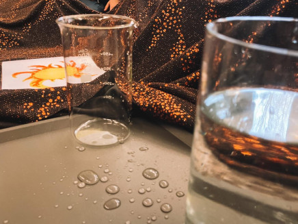 eec51444-2909-48c2-a6ab-0f15337aa1a2