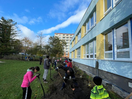 d4f1f8a6-1c5a-49d4-a554-1cffab041f4e(3)