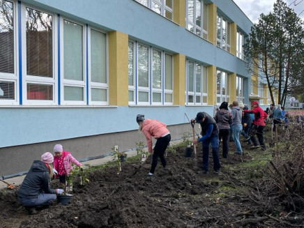 9090be6c-592e-4aa2-81f0-0828711642ca(2)