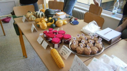 Bylinkové vyrábění v Montessori třídách