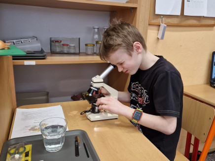 8a562b23-de29-423d-aed5-07b2beef9072