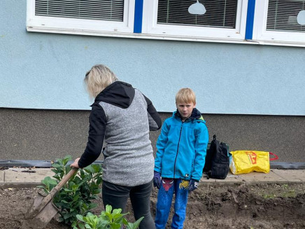 bda5bf29-618a-4ba0-b30b-3c2f7b0f4f62(3)