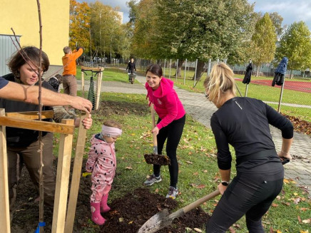 a4f27baa-950c-4dda-8f77-06571c5a8eaf(1)