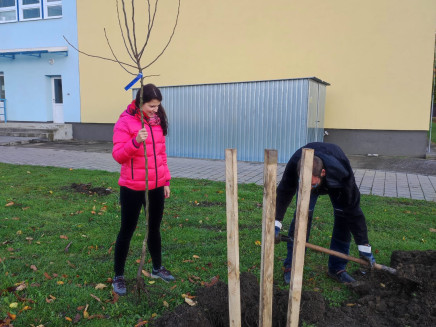 baf0f544-072b-4cde-9b99-051c7cc65337(1)