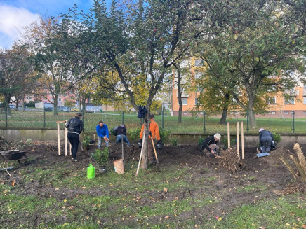 39172e92-6208-4f23-b0d5-7d99763ca0f8(1)