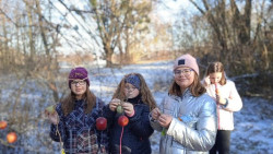 Vánoční stromeček pro zvířátka