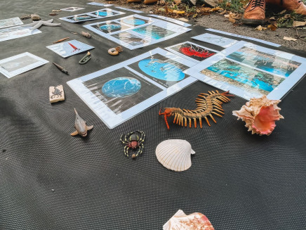 f6899224-fd2a-4d79-b9f3-7b4517a67268