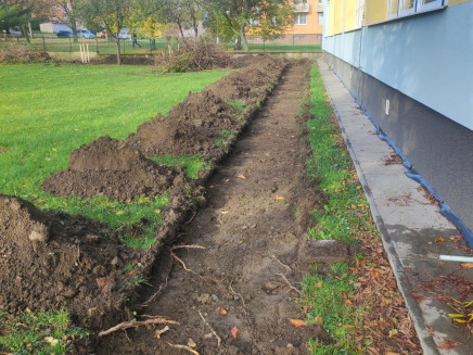 c740f01c-ac1d-401f-85fc-7a59724f5b35(1)