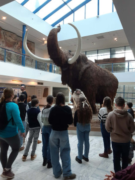 19d0fe25-b27b-4dbf-87be-1f933ad5b2c0