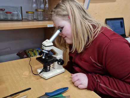 0931a905-b339-498b-8ccd-06c88847d657