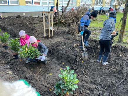 ced0ad8b-21fe-4372-b121-d7fe74dd2e4c(3)