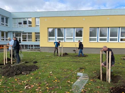 84a26c62-6ff7-4768-91af-4a74dcfef34a(1)