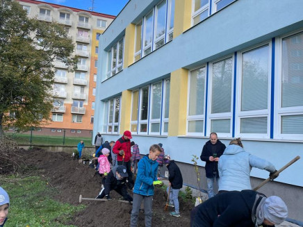 f6035534-df3a-40c5-8eac-975ce21ae34d(3)