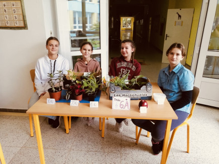 0a65e4de-4d4a-4cad-a8ec-e66448252cd8