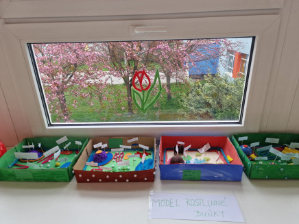 86e89489-51c7-4896-b570-07bdff093098