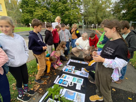 f310b5b8-9411-4a2b-9c03-d8a7a538c493