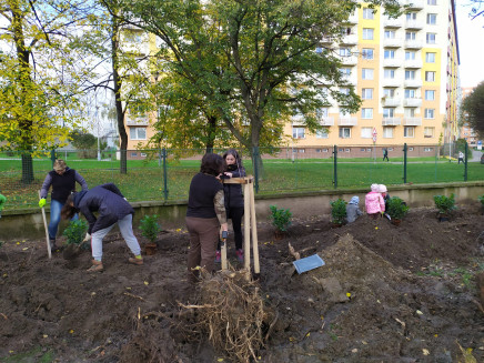 04be4a0d-2385-42dc-a19a-2ece0b348f77