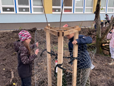 4cc58b6e-3d00-4b81-9c49-18cf4f9f77a2(3)