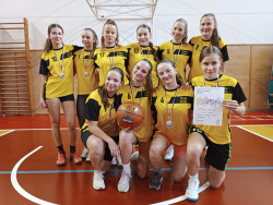 basket holky