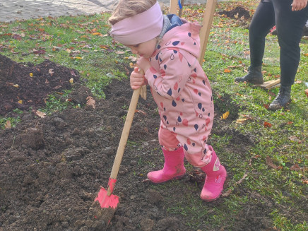 18ec7b36-b5c3-49b9-a4d8-e7955df265e1(3)