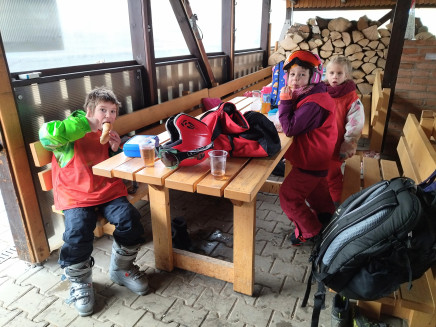 IMG_20230306_110331~2