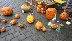 Podzimní hrátky s dýněmi