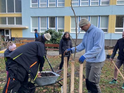 c95234f8-48a7-4009-ae70-e2e02485ea8d(3)