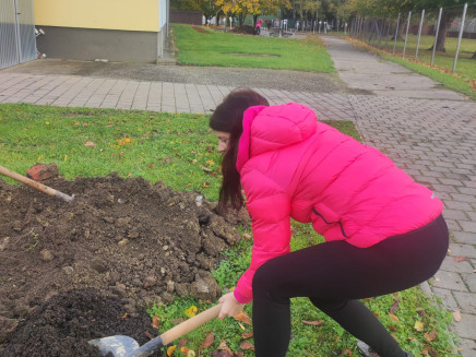 ad9a9f95-d530-428d-84d8-63bd42985cbf(1)