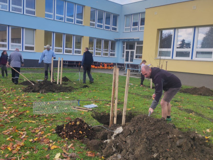 aa45598e-1149-4f50-969b-dbd1d6dbfa9a(1)