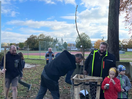 7057fb0c-624d-4c84-9675-85b5b2d83ae4(3)