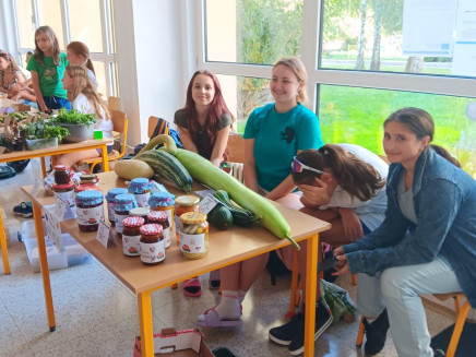 384103686_331159282779461_943142948539447546_n