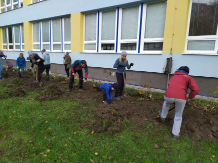 d33f6544-422d-4a59-a416-17daf80814cf