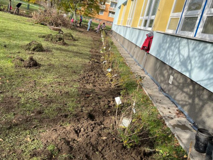 c4e04faa-4ecf-44b8-b1e0-b1eea9f15e46(1)